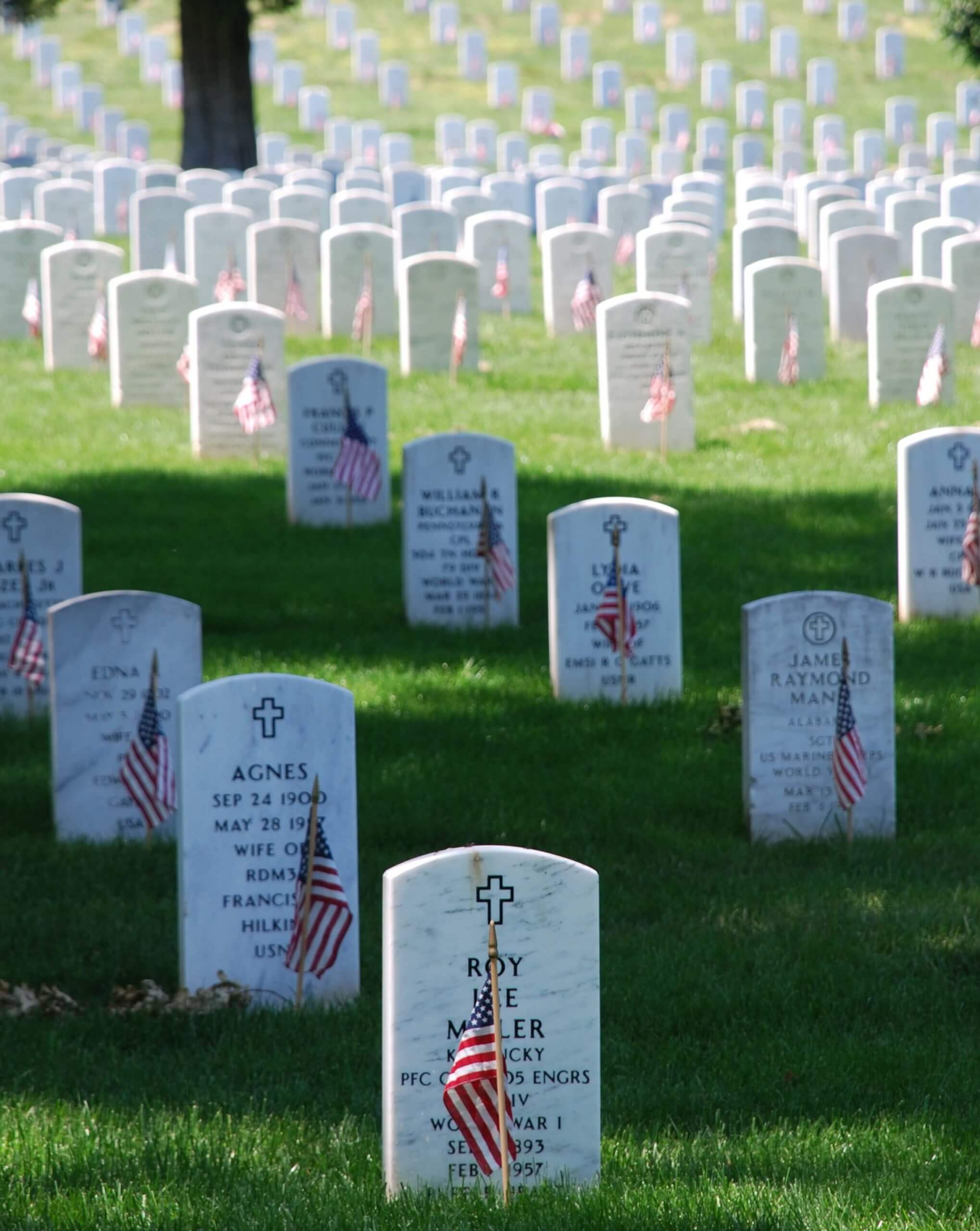 Graves at Arlington National Cemetary