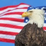 Bald eagle in from of a US flag